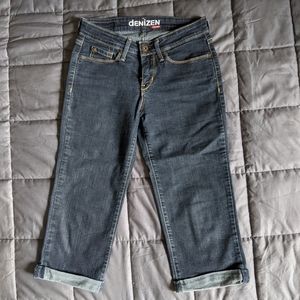 levi denizen capris